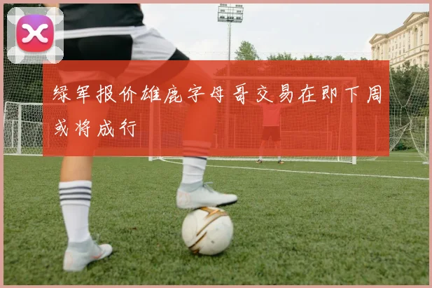 绿军报价雄鹿字母哥交易在即下周或将成行